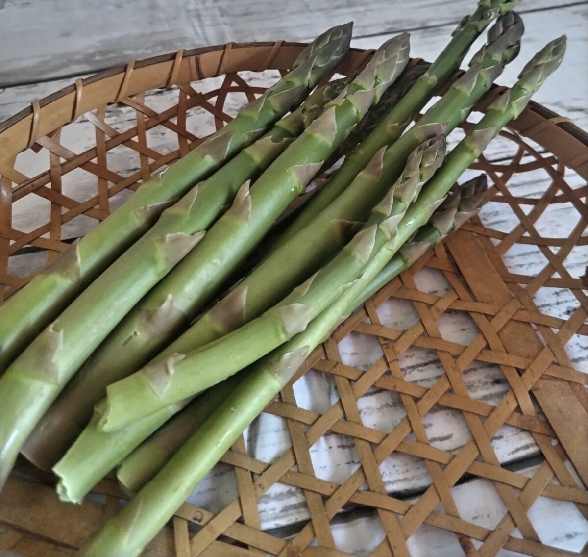 アスパラの収穫